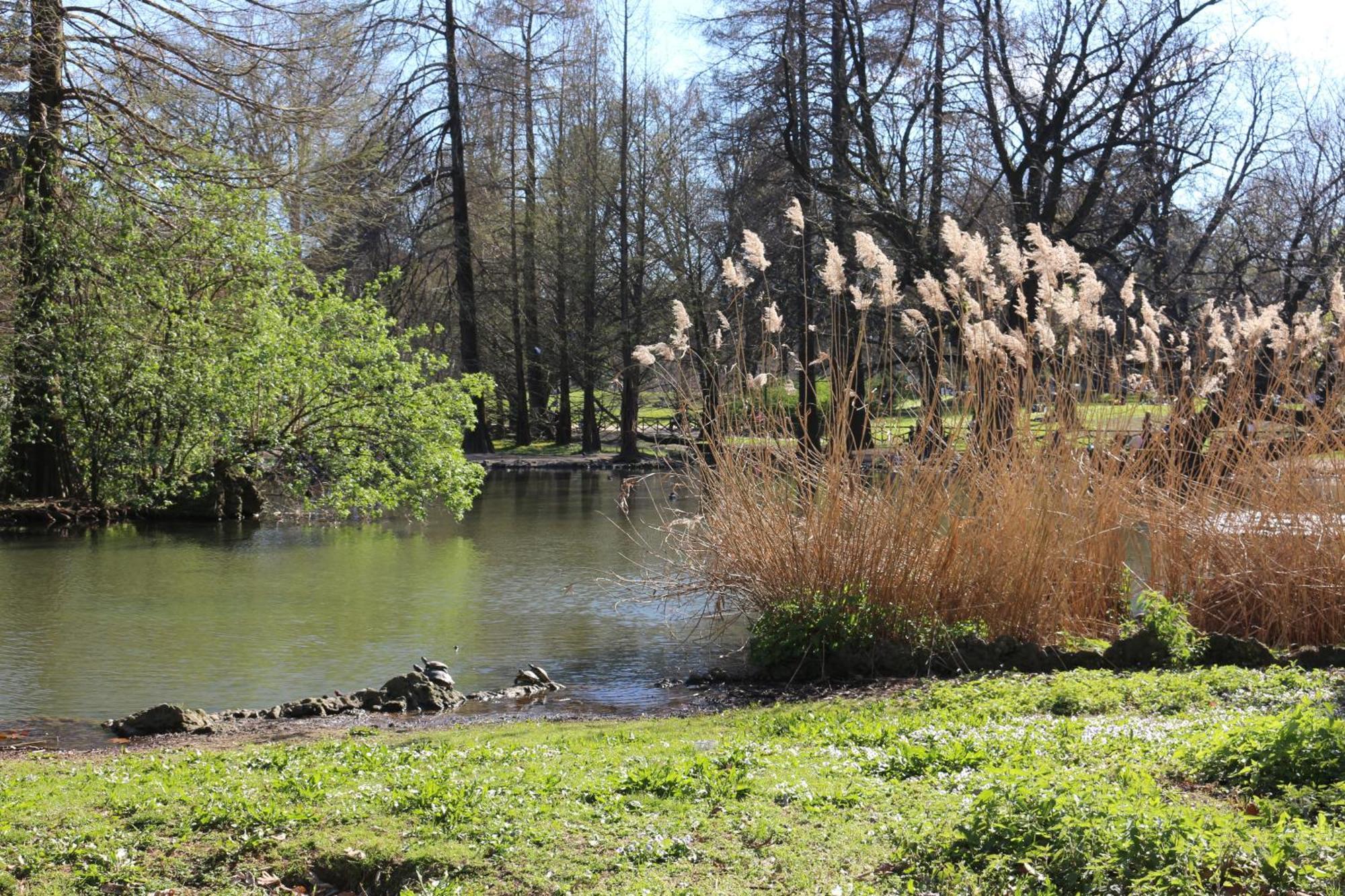 Appartamento Charming Parco - Arco Della Pace - Perfect For 5 People